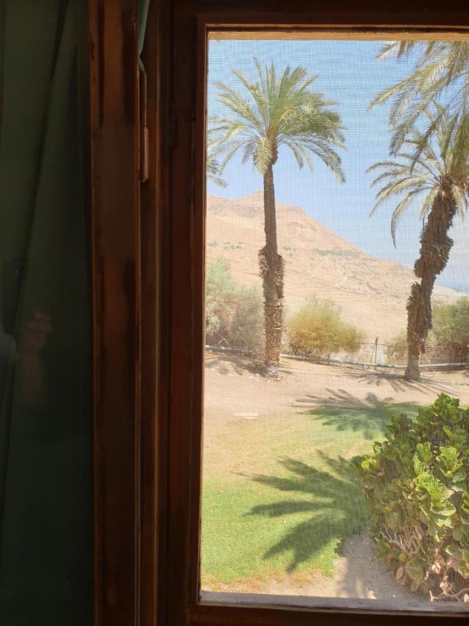 הצימר של יהושע Ein Gedi Eksteriør bilde